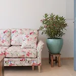 Art Goldener Loewe Апартаменты