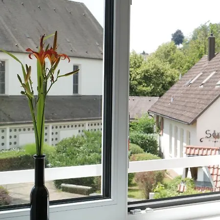 Goldener Löwe *